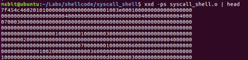 Understanding Shellcode: Key Concepts for Cybersecurity Experts